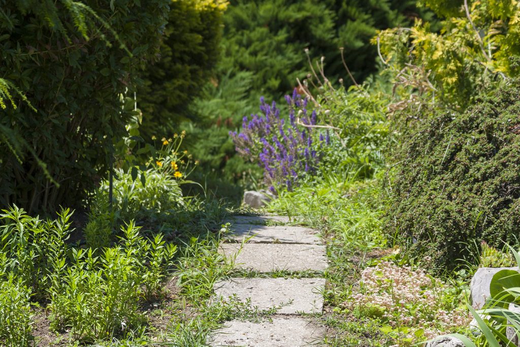Botanični vrt Univerze Pécs