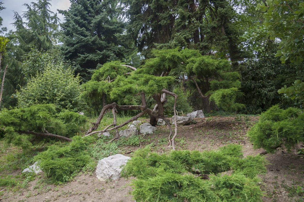 Botanični vrt Univerze Pécs